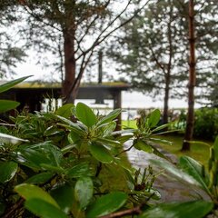 База отдыха Свирская, Волховский район, Ленинградская область