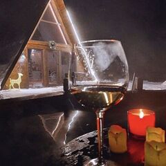 Дом Шалаш Тайм, Ульяновская область