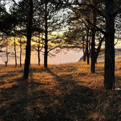 Дом Шалаш Тайм, Ульяновская область