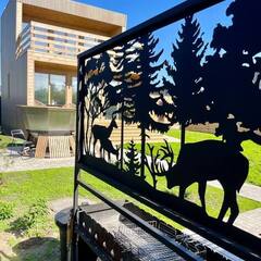 Дом Шалаш Тайм, Ульяновская область