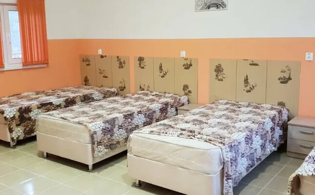 Оазис — фото 2