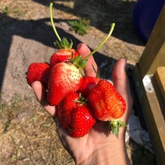 Агроусадьба Уютный дом с большой террасой на ферме, Ленинградская область