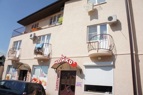 Морская чайка Ливингстон — фото 4