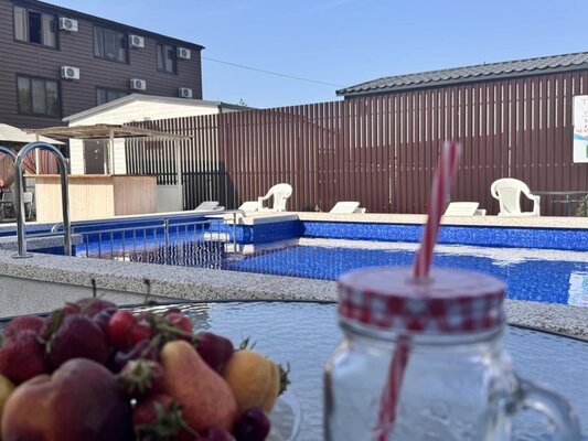 Морская чайка Ливингстон — фото 1