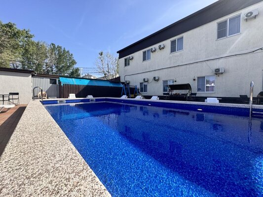 Морская чайка Ливингстон — фото 5