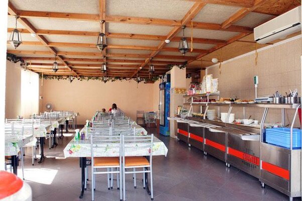 Морская чайка Ливингстон — фото 3