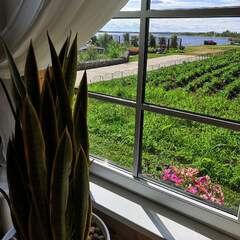 Дом в аренду Рублево-Тетерино, Новгородская область