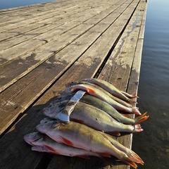 Дом в аренду Рублево-Тетерино, Новгородская область
