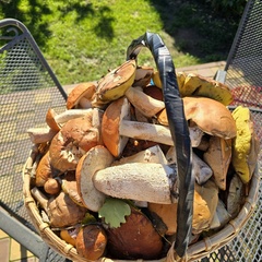 Дом в аренду Рублево-Тетерино, Новгородская область