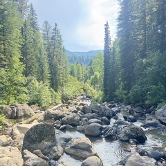 Гостевой дом Шале светлый, Республика Алтай