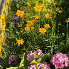 Гостевой дом Гранат, Краснодарский край