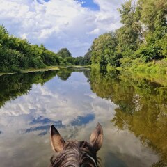 Гостевой дом Вдали, Саратовская область