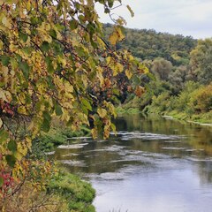 Гостевой дом Вдали, Саратовская область