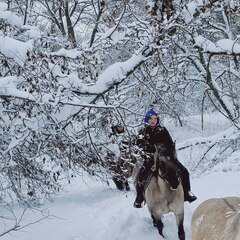 Гостевой дом Вдали, Саратовская область