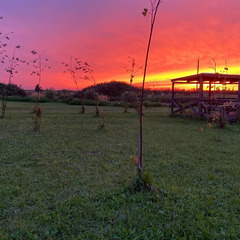 Дом в аренду Воздух, Владимирская область