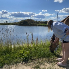 Дом в аренду Воздух, Владимирская область