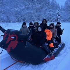 Дом в аренду Воздух, Владимирская область