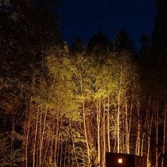 Глэмпинг Терруар , Тульская область