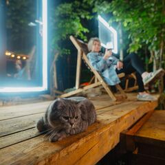 Глэмпинг Терруар , Тульская область