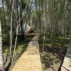 Глэмпинг Терруар , Тульская область