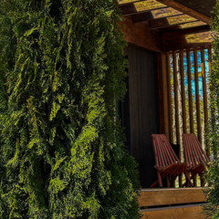 База отдыха Мы здесь , Ленинградская область