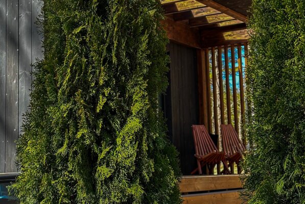 Мы здесь  — фото 5