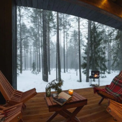 База отдыха Мы здесь , Ленинградская область