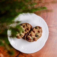 База отдыха Мы здесь , Ленинградская область