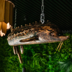 База отдыха Мы здесь , Ленинградская область