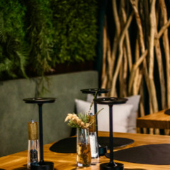 База отдыха Мы здесь , Ленинградская область