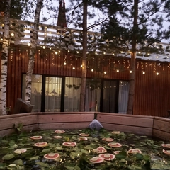 Гостевой дом Лесная Резиденция , Московская область