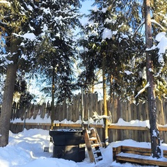 Гостевой дом Лесная Резиденция , Московская область