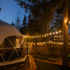 Гостевой дом Лесная Резиденция , Московская область