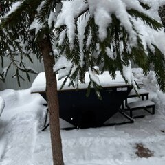Гостевой дом Лесная Резиденция , Московская область