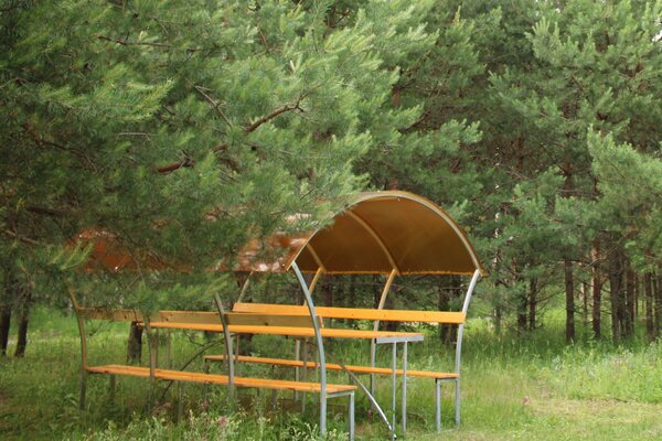 Домики в лесу — фото 5