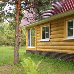 База отдыха Домики в лесу, Московская область