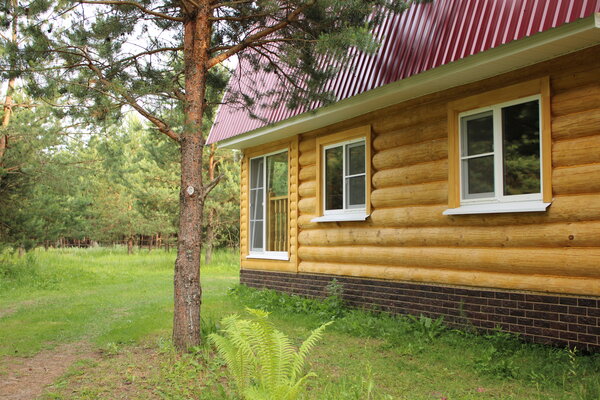 Домики в лесу — фото 1