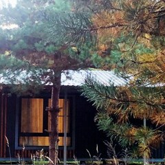 База отдыха Домики в лесу, Московская область