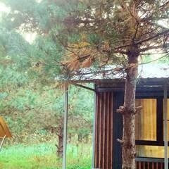 База отдыха Домики в лесу, Московская область