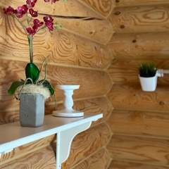 Гостевой дом Усадьба , Псковская область