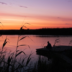База отдыха Малинки, Ульяновская область