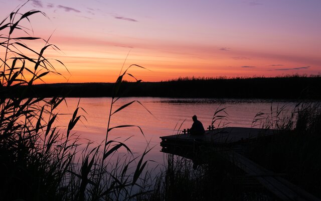 Малинки — фото 5