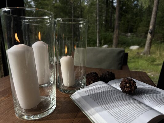 Шале Темный — фото 5