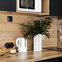 Гостевой дом Шале Темный, Республика Алтай