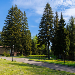 База отдыха Беликово Клуб Хаус, Московская область