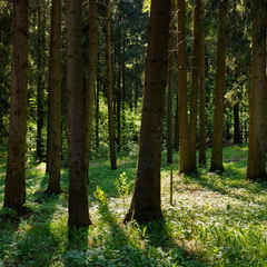 База отдыха Беликово Клуб Хаус, Московская область