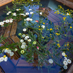 База отдыха Беликово Клуб Хаус, Московская область