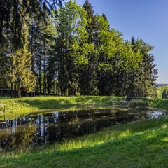 База отдыха Беликово Клуб Хаус, Московская область
