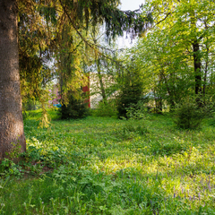 База отдыха Беликово Клуб Хаус, Московская область