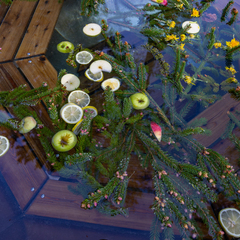 База отдыха Беликово Клуб Хаус, Московская область